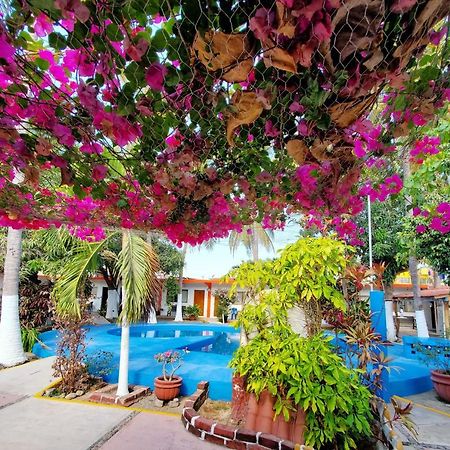 Hotel Oasis Melaque سان باتريسيو ميلاكي المظهر الخارجي الصورة