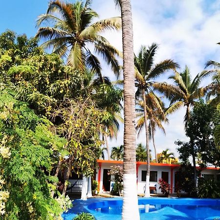 Hotel Oasis Melaque سان باتريسيو ميلاكي المظهر الخارجي الصورة