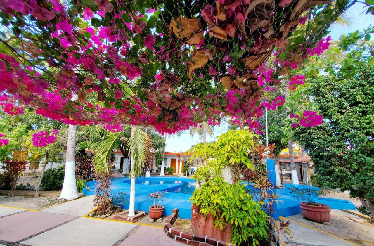 Hotel Oasis Melaque سان باتريسيو ميلاكي المظهر الخارجي الصورة