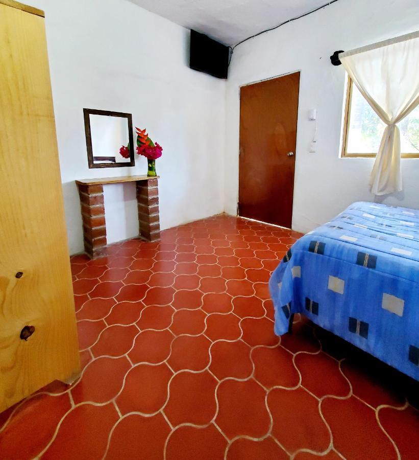 Hotel Oasis Melaque سان باتريسيو ميلاكي المظهر الخارجي الصورة