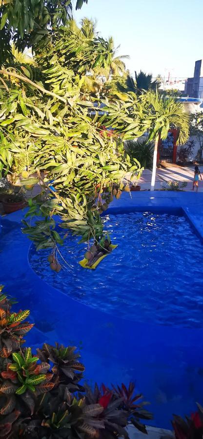 Hotel Oasis Melaque سان باتريسيو ميلاكي المظهر الخارجي الصورة